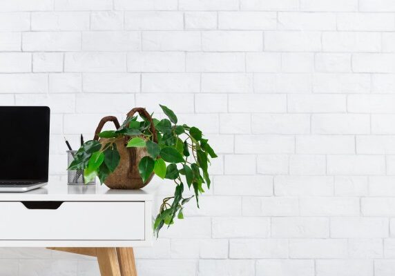 crop_sm_minimalistic-home-office-workplace-with-houseplant-3RNKBJC